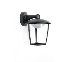 Настенный фонарь уличный  W2622 Bl Oasis Light