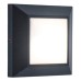 Настенный светильник уличный W4021 Gr Oasis Light