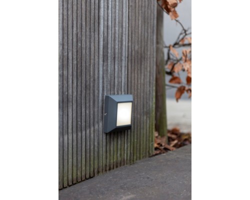 Настенный светильник уличный W4021 Gr Oasis Light Настенный светильник уличный W4021 Gr Oasis Light