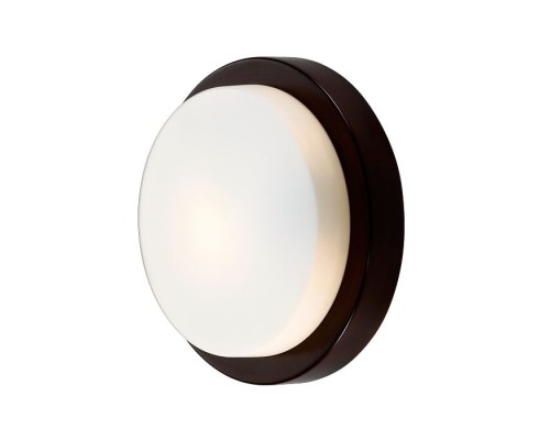 Настенно-потолочный светильник Holger 2744/1C Odeon Light Настенно-потолочный светильник Holger 2744/1C Odeon Light