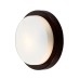 Настенно-потолочный светильник Holger 2744/1C Odeon Light
