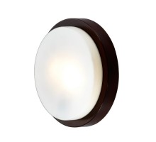 Настенно-потолочный светильник Holger 2744/2C Odeon Light