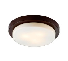 Настенно-потолочный светильник Holger 2744/3C Odeon Light