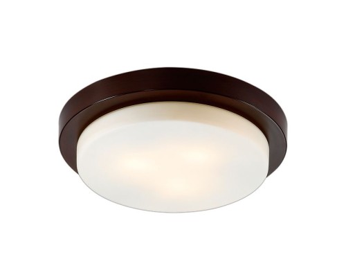 Настенно-потолочный светильник Holger 2744/3C Odeon Light Настенно-потолочный светильник Holger 2744/3C Odeon Light
