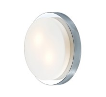 Настенно-потолочный светильник Holger 2746/2C Odeon Light