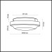 Настенно-потолочный светильник Tavoy 2760/2C Odeon Light