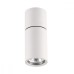 Точечный светильник Duetta 3582/1C Odeon Light