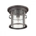 Потолочный светильник уличный Virta 4044/1C Odeon Light