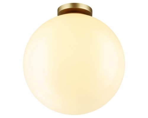 Потолочный светильник уличный Bosco 4250/1C Odeon Light Потолочный светильник уличный Bosco 4250/1C Odeon Light