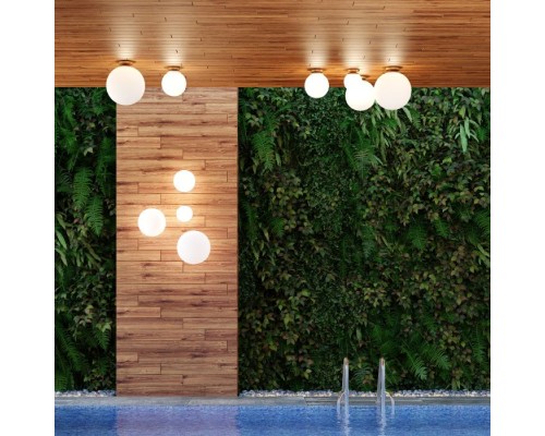 Потолочный светильник уличный Bosco 4250/1C Odeon Light Потолочный светильник уличный Bosco 4250/1C Odeon Light