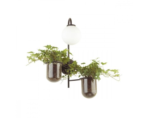 Бра Flower 4681/1W Odeon Light Бра Flower 4681/1W Odeon Light