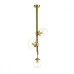 Потолочная люстра Brazeri 4799/3 Odeon Light