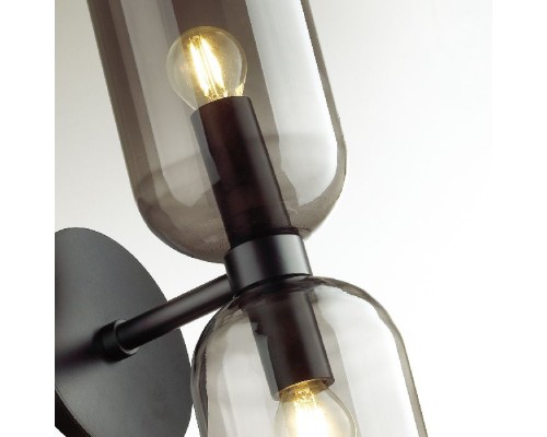 Бра Orinoco 4804/2W Odeon Light Бра Orinoco 4804/2W Odeon Light