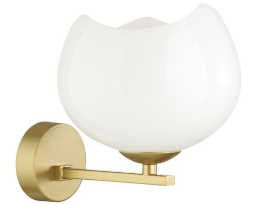Бра Waterlily 4873/1W Odeon Light Бра Waterlily 4873/1W Odeon Light
