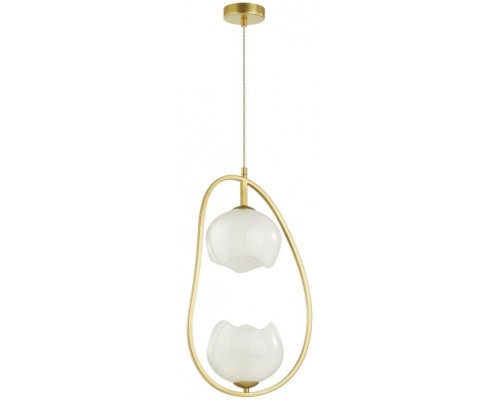 Подвесной светильник Waterlily 4873/2 Odeon Light Подвесной светильник Waterlily 4873/2 Odeon Light
