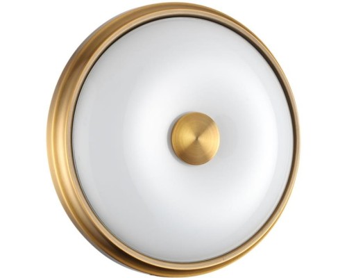 Настенно-потолочный светильник Pelow 4956/2 Odeon Light Настенно-потолочный светильник Pelow 4956/2 Odeon Light