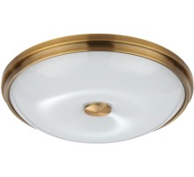 Настенно-потолочный светильник Pelow 4956/4 Odeon Light