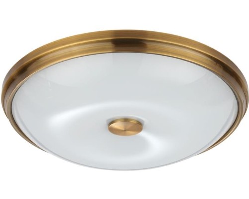 Настенно-потолочный светильник Pelow 4956/4 Odeon Light Настенно-потолочный светильник Pelow 4956/4 Odeon Light