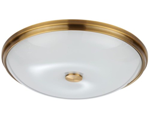 Настенно-потолочный светильник Pelow 4956/5 Odeon Light Настенно-потолочный светильник Pelow 4956/5 Odeon Light