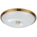 Настенно-потолочный светильник Pelow 4956/5 Odeon Light