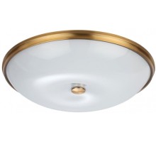 Настенно-потолочный светильник Pelow 4956/6 Odeon Light