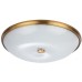 Настенно-потолочный светильник Pelow 4956/6 Odeon Light
