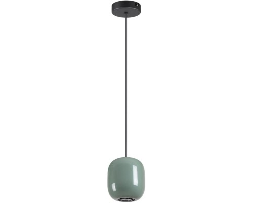 Подвесной светильник Ovali 5053/1C Odeon Light Подвесной светильник Ovali 5053/1C Odeon Light
