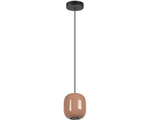 Подвесной светильник Ovali 5053/1G Odeon Light Подвесной светильник Ovali 5053/1G Odeon Light