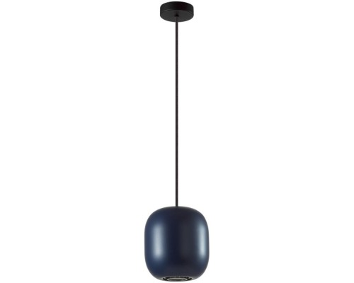 Подвесной светильник Cocoon 5060/1CA Odeon Light Подвесной светильник Cocoon 5060/1CA Odeon Light