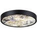 Настенно-потолочный светильник Bergi 5064/24L Odeon Light