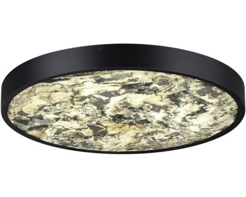 Настенно-потолочный светильник Bergi 5064/40L Odeon Light Настенно-потолочный светильник Bergi 5064/40L Odeon Light