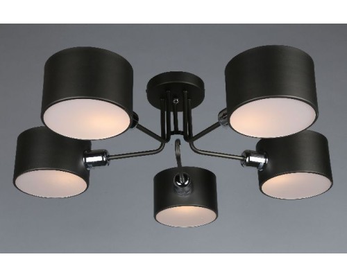 Потолочная люстра Liser OML-54507-05 Omnilux Потолочная люстра Liser OML-54507-05 Omnilux