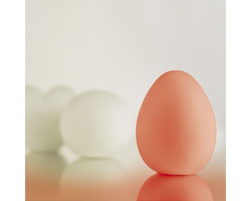 Интерьерная настольная лампа Egg 3690 Paulmann Интерьерная настольная лампа Egg 3690 Paulmann