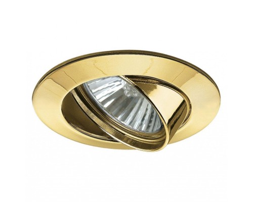 Точечный светильник Downlights Premium 98949 Paulmann Точечный светильник Downlights Premium 98949 Paulmann