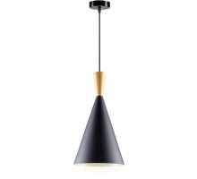 Подвесной светильник Toque 52634 6 Ritter