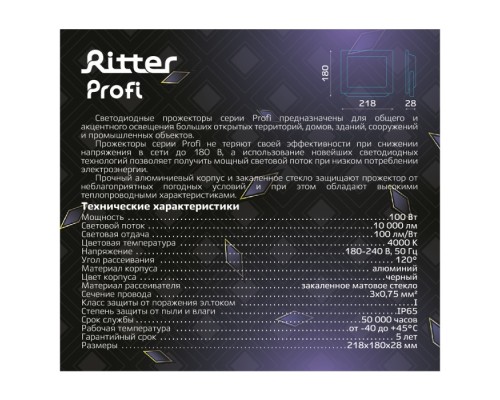 Прожектор уличный PROFI 53419 2 Ritter Прожектор уличный PROFI 53419 2 Ritter
