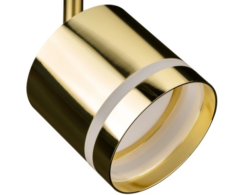 Трековый светильник Artline 59868 2 Ritter Трековый светильник Artline 59868 2 Ritter