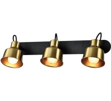 Спот Lenore 7060-703 Rivoli