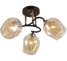 Потолочная люстра Fernanda 9132-303 Rivoli
