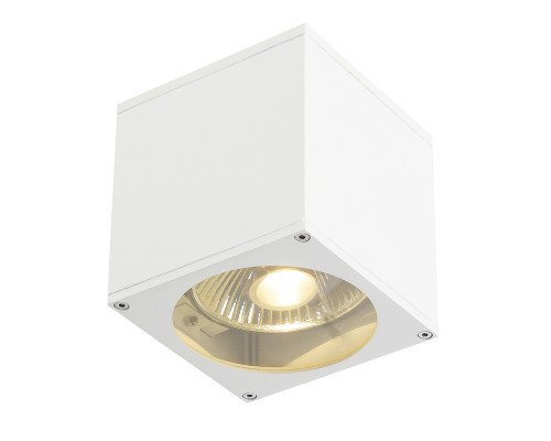Настенный светильник уличный Big 229561 SLV Настенный светильник уличный Big 229561 SLV