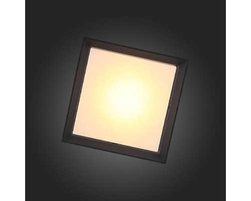 Потолочный светильник уличный Cubista SL077.402.01 ST Luce Потолочный светильник уличный Cubista SL077.402.01 ST Luce