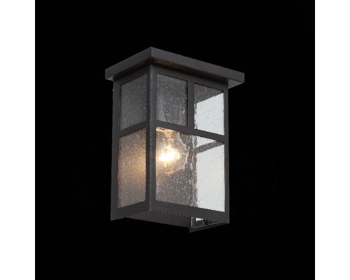 Настенный светильник уличный Glazgo SL079.401.01 ST Luce Настенный светильник уличный Glazgo SL079.401.01 ST Luce