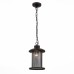 Уличный подвесной светильник Lastero SL080.403.01 ST Luce