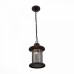 Уличный подвесной светильник Lastero SL080.403.01 ST Luce