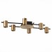 Потолочная люстра Veroli SL1207.402.06 ST Luce