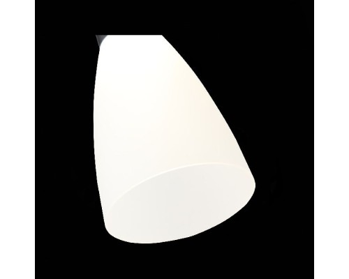 Подвесной светильник Agioni SL1590.403.01 ST Luce Подвесной светильник Agioni SL1590.403.01 ST Luce