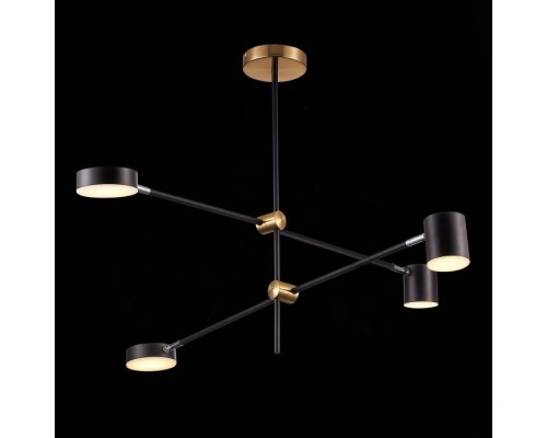 Потолочная люстра Rodrigo SL1604.432.04 ST Luce Потолочная люстра Rodrigo SL1604.432.04 ST Luce
