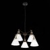 Подвесная люстра Evoluto SL237.413.05 ST Luce