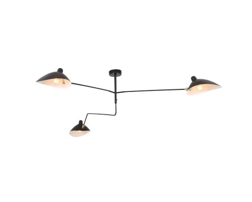 Потолочная люстра Spruzzo SL305.402.03 ST Luce Потолочная люстра Spruzzo SL305.402.03 ST Luce
