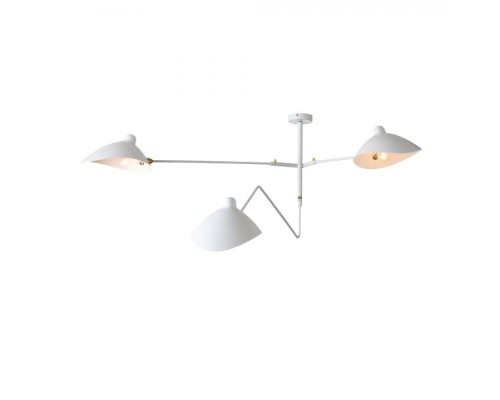 Потолочная люстра Spruzzo SL305.502.03 ST Luce Потолочная люстра Spruzzo SL305.502.03 ST Luce